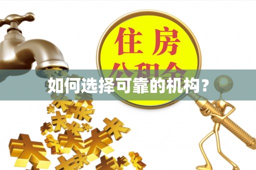 乌兰察布如何选择可靠的机构？